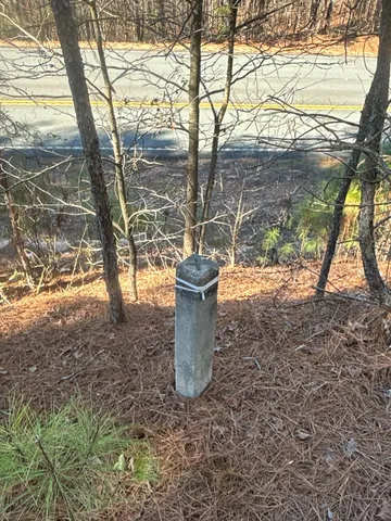 a view of a yard with a tree and table and chair