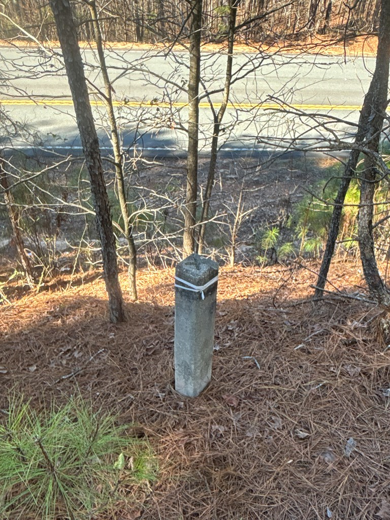 0 Geneva Highway Box Springs, GA 31801 - Photo 15 of 15 a view of a yard with a tree and table and chair