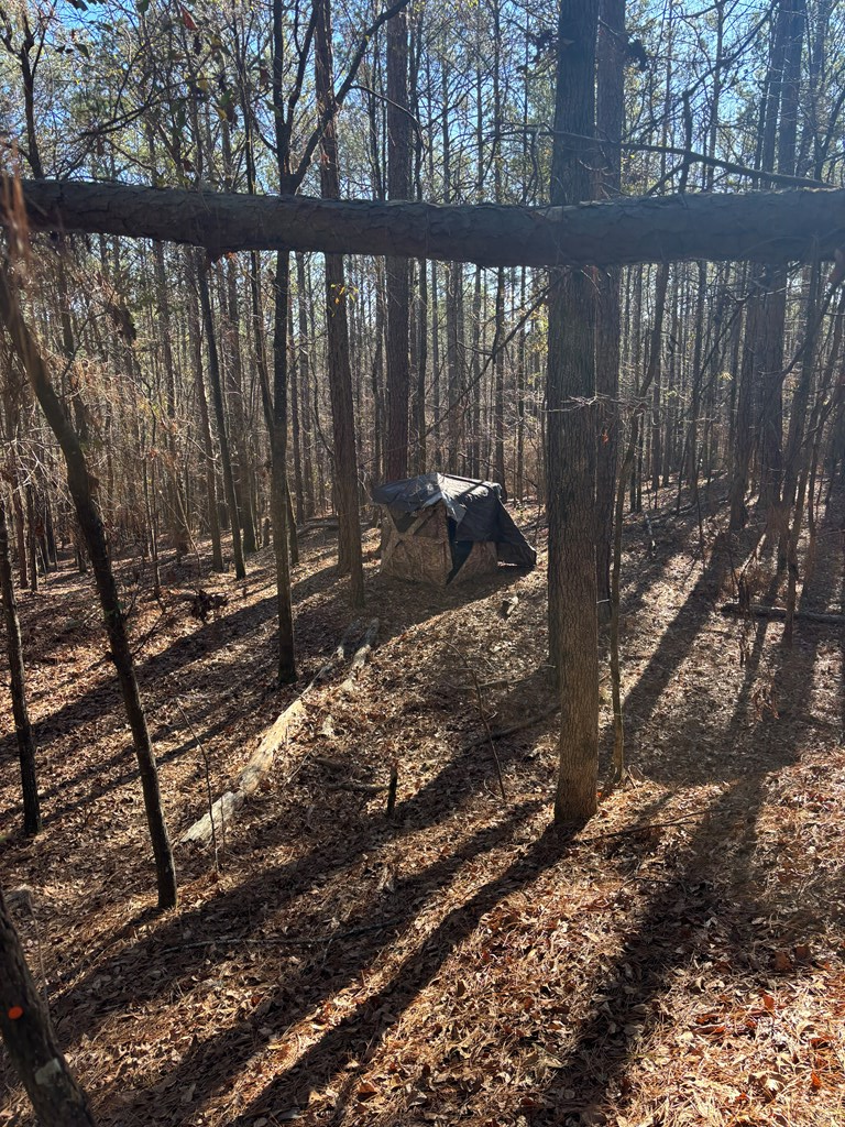 0 Geneva Highway Box Springs, GA 31801 - Photo 4 of 15 a view of a yard from a balcony