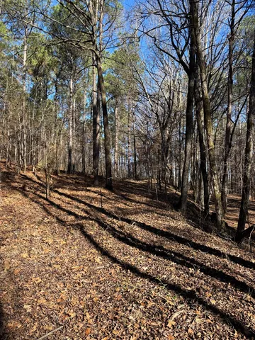 a view of a yard with wooden fence