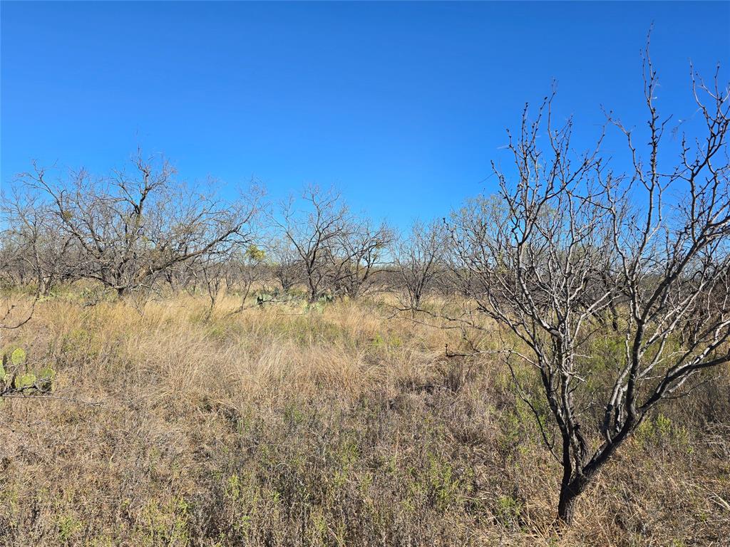5780 County Road 266 Rochelle, TX 76872 - Photo 34 of 40