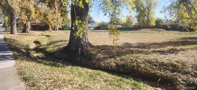 a view of a yard with snow on the road