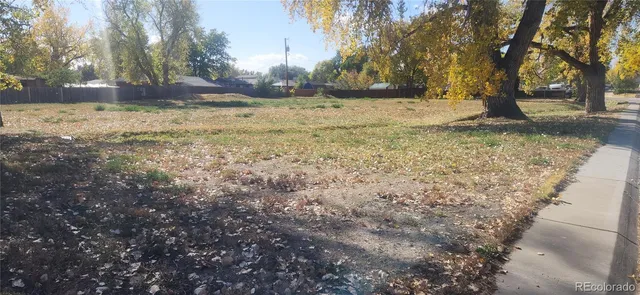 a view of a yard with a tree