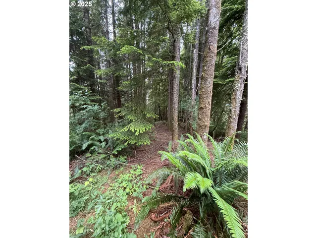 a close up of a plant in a garden