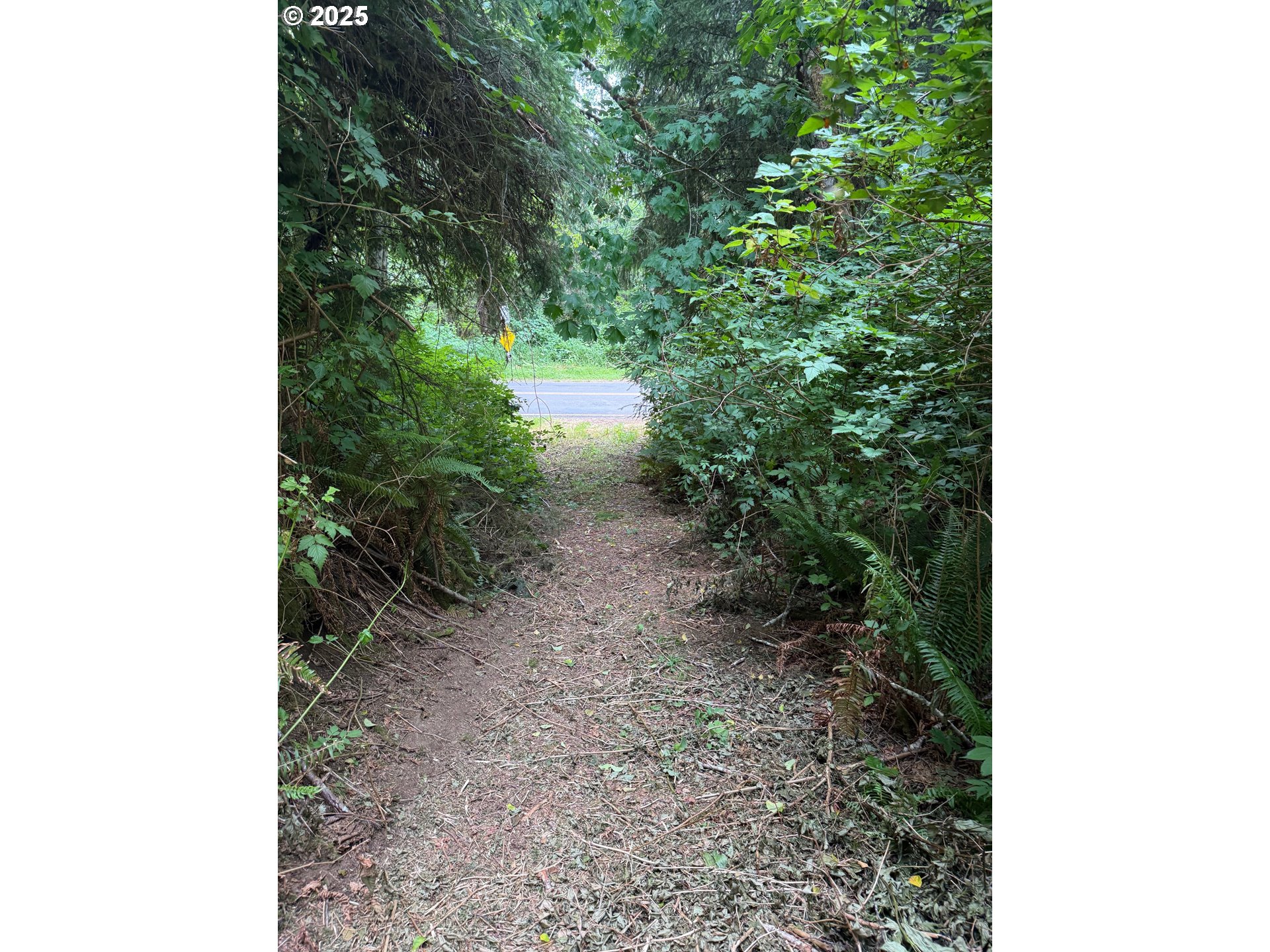 0 Altoona-Pillar Rock Road Rosburg, WA 98643 - Photo 5 of 6 a view of a yard with plants and a tree