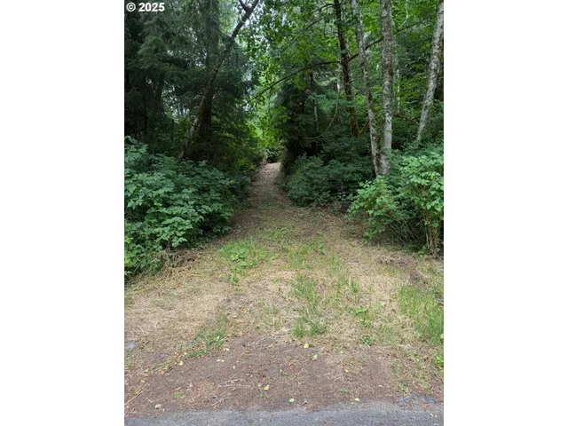 a view of a yard with plants and trees