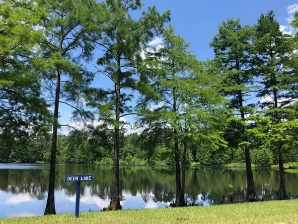 a view of lake view