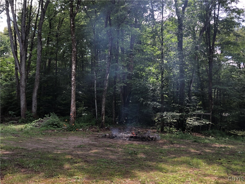 10079 Cherokee Street Remsen, NY 13438 - Photo 15 of 15