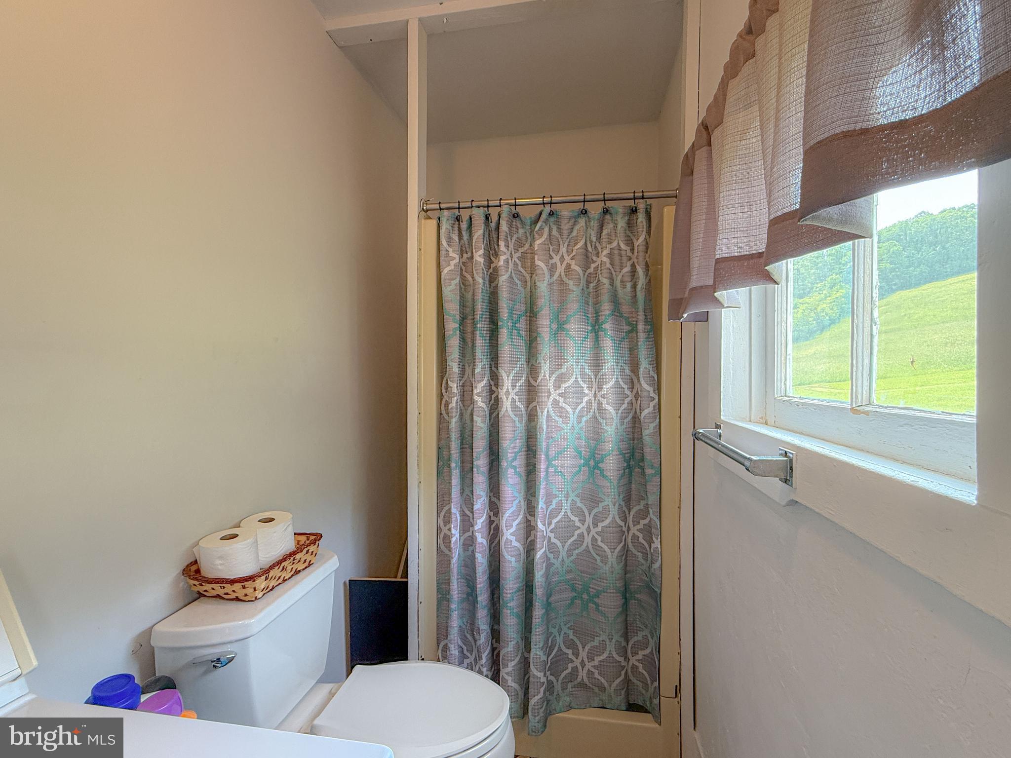 930 Osman Road Alum Bank, PA 15521 - Photo 14 of 63 a white toilet sitting next to a bathroom sink