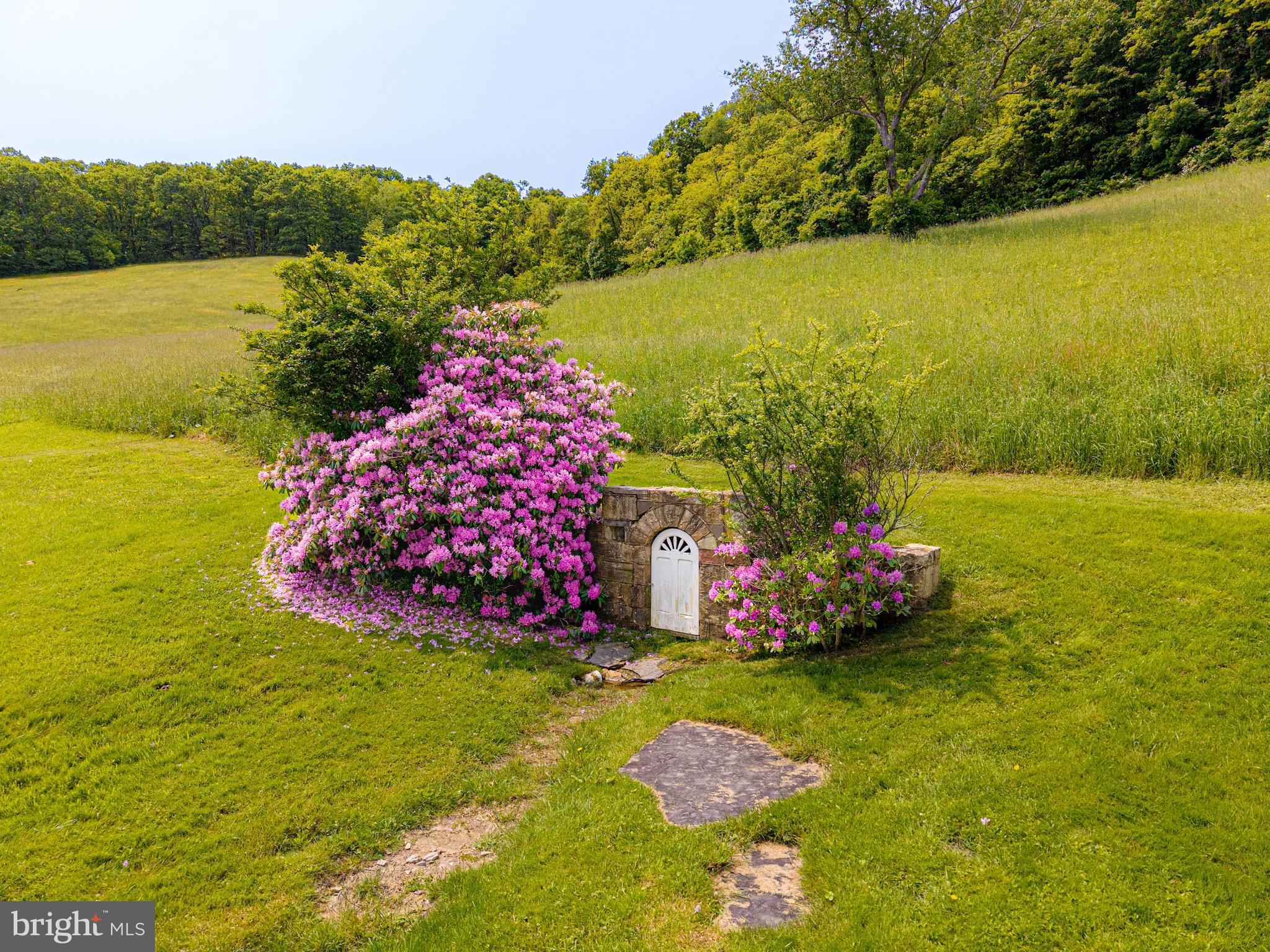 930 Osman Road Alum Bank, PA 15521 - Photo 32 of 63 a view of a lake with a big yard