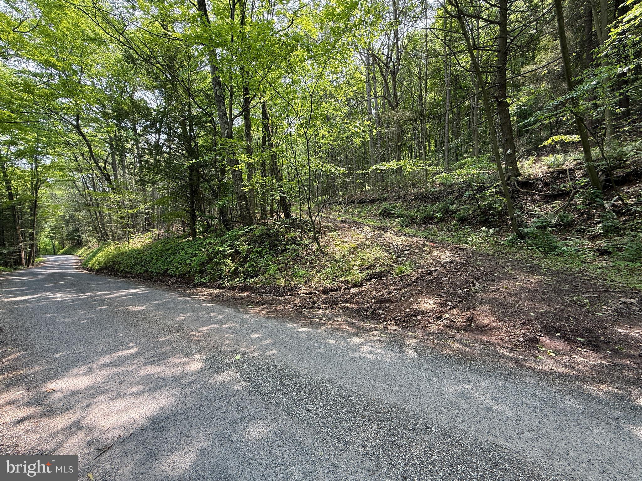930 Osman Road Alum Bank, PA 15521 - Photo 43 of 63 a view of a forest with trees in the background