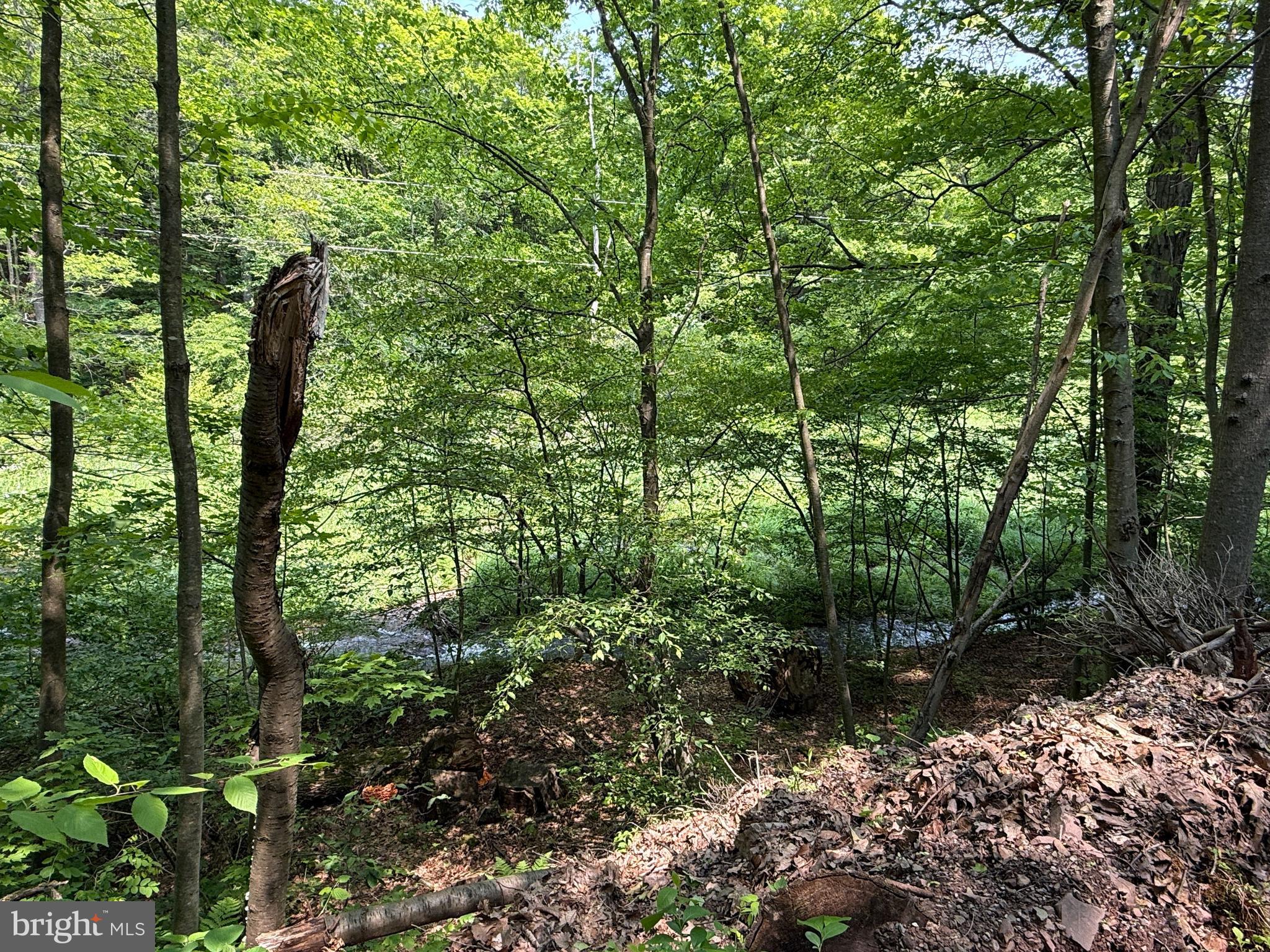 930 Osman Road Alum Bank, PA 15521 - Photo 44 of 63