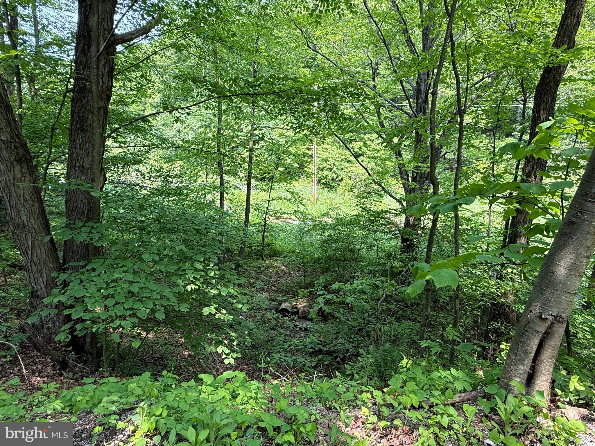 930 Osman Road Alum Bank, PA 15521 - Photo 45 of 63