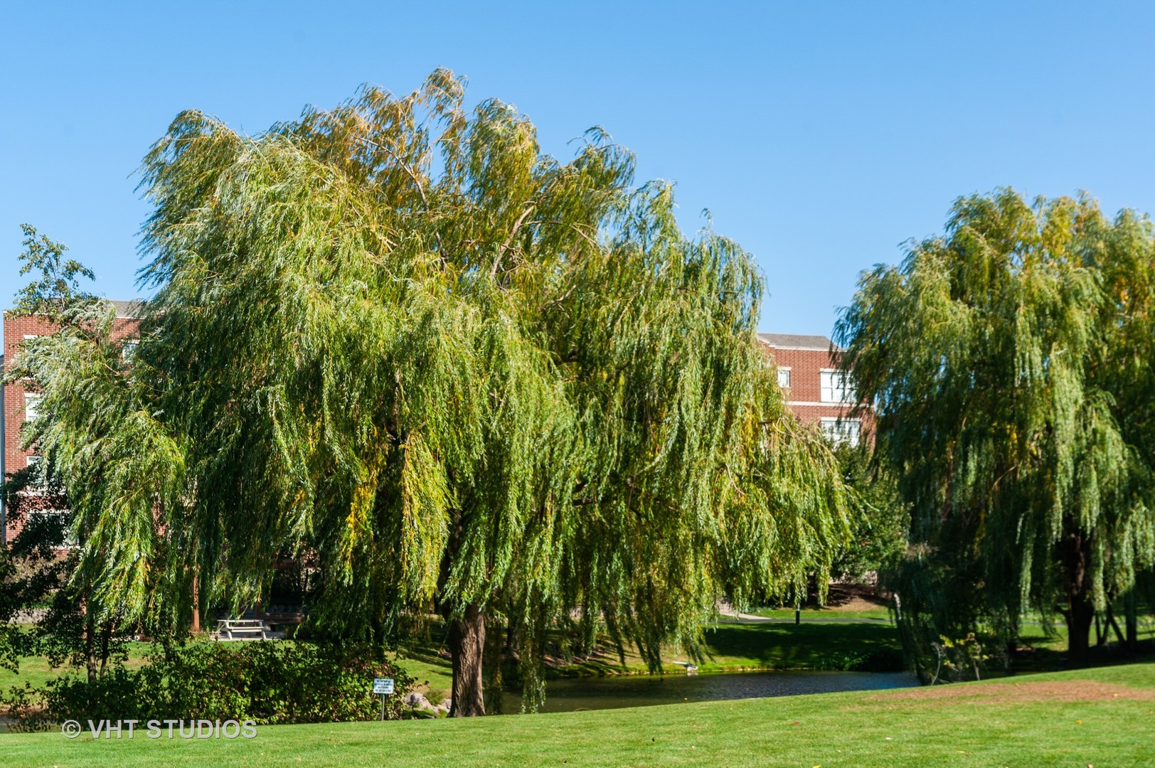 511 Prestwick Lane, Unit 305 Wheeling, IL 60090 - Photo 10 of 20