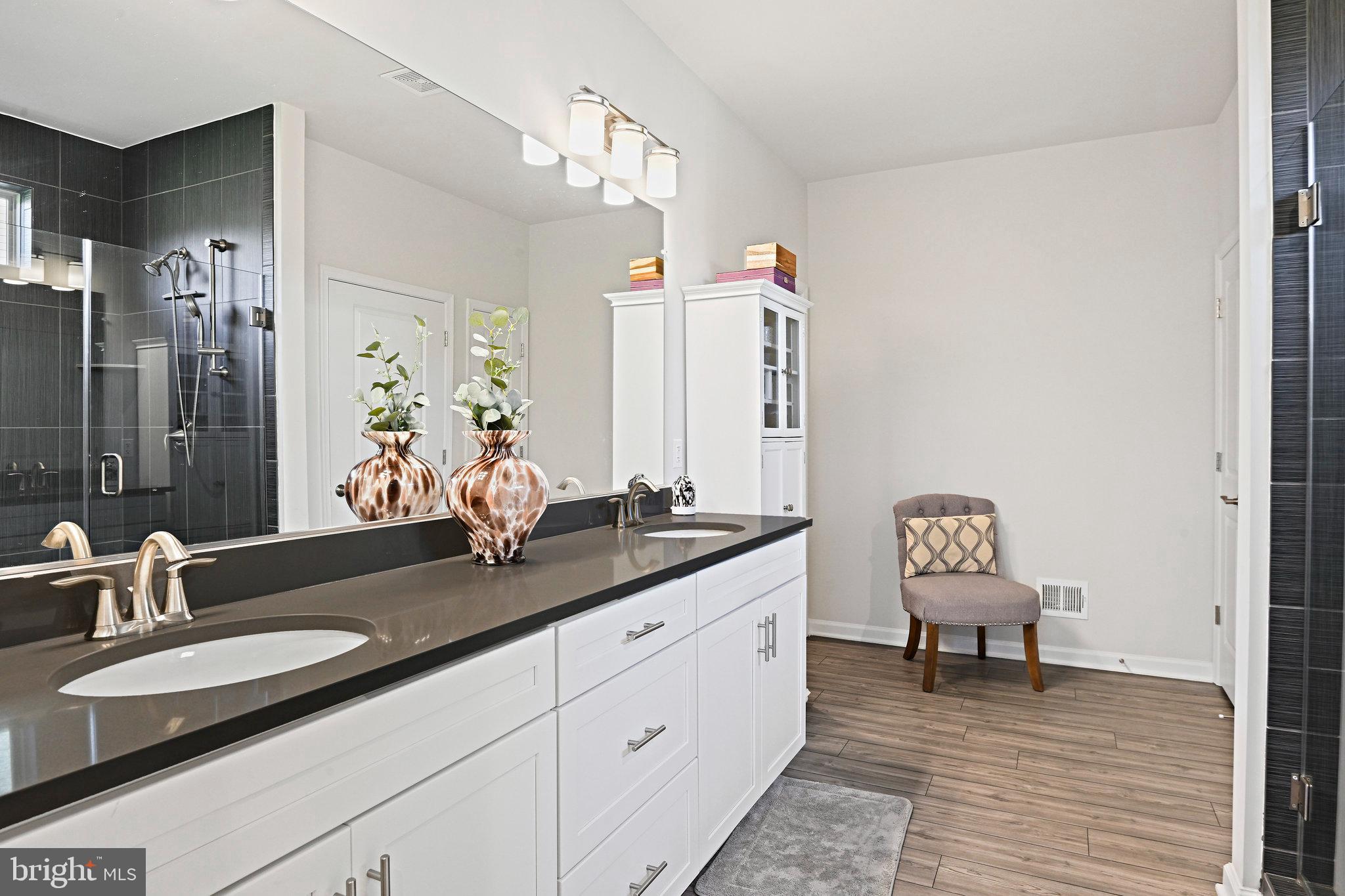 15788 Gardenia Rdg Way Haymarket, VA 20169 - Photo 21 of 50 a bathroom with a sink and a mirror