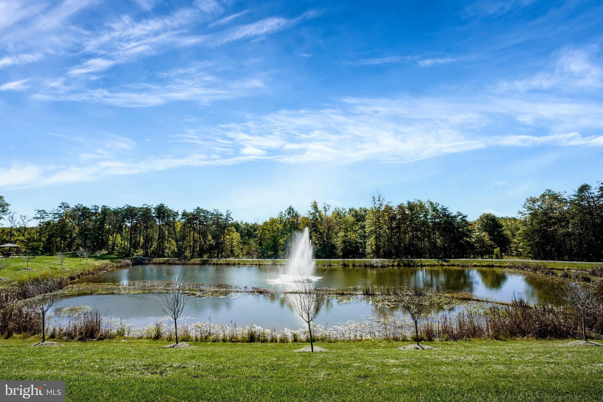 15788 Gardenia Rdg Way Haymarket, VA 20169 - Photo 50 of 50 a view of a lake with houses in the back