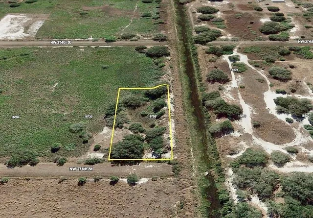 a view of a yard with a tree