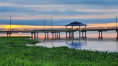 a view of residential houses with outdoor space