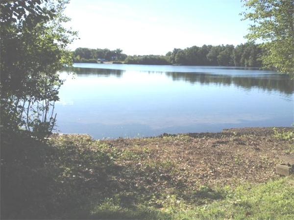 420 Parker Street Springfield, MA 01129 - Photo 10 of 16 a view of a lake next to a yard with a large tree