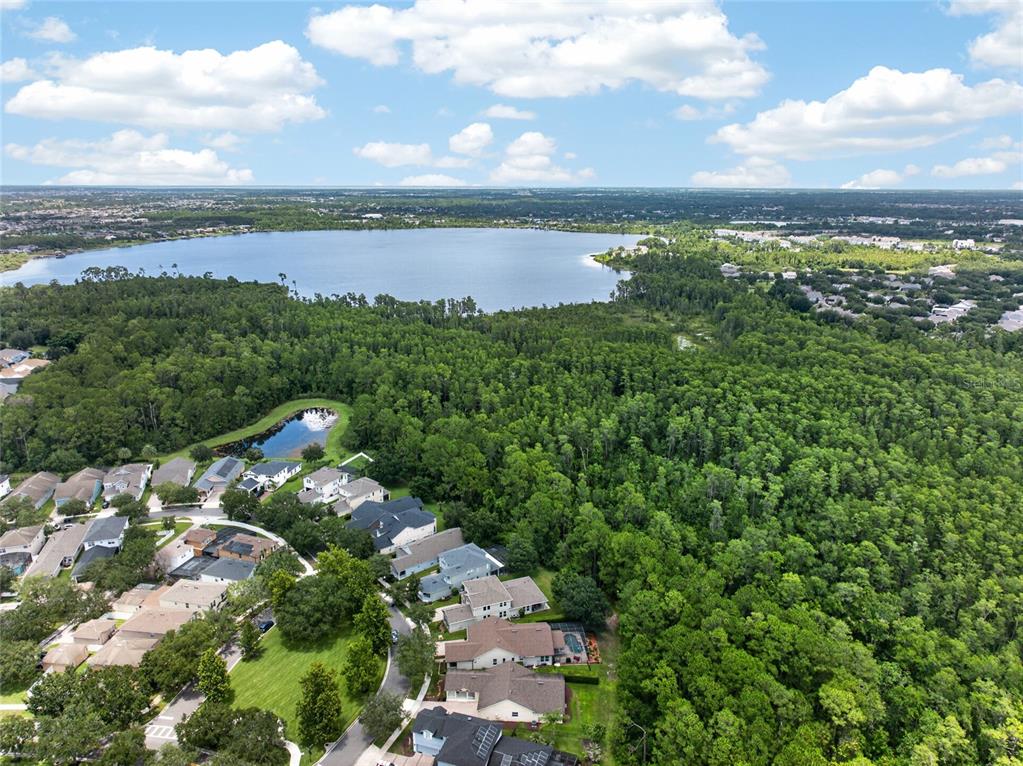 6587 Old Carriage Road Winter Garden, FL 34787 - Photo 49 of 85