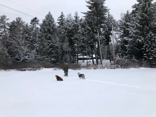 $558,000 | 22 Point Road, Guilford, ME 04443