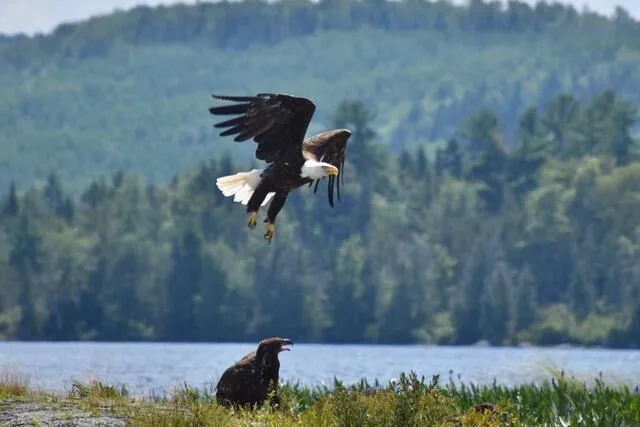 $558,000 | 22 Point Road, Guilford, ME 04443