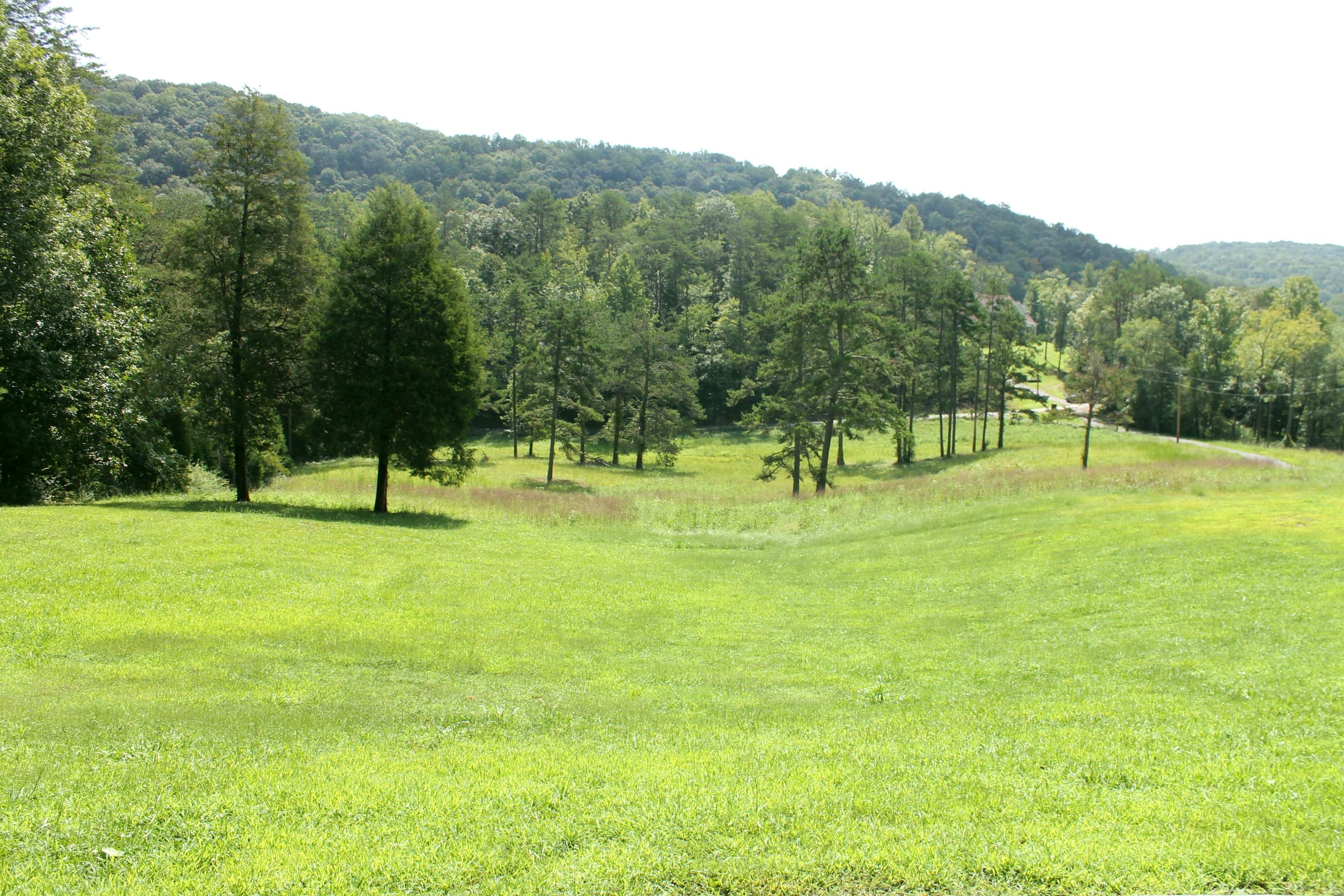 256 Bush Road Clinton, TN 37716 - Photo 3 of 35 FRONT view from porch