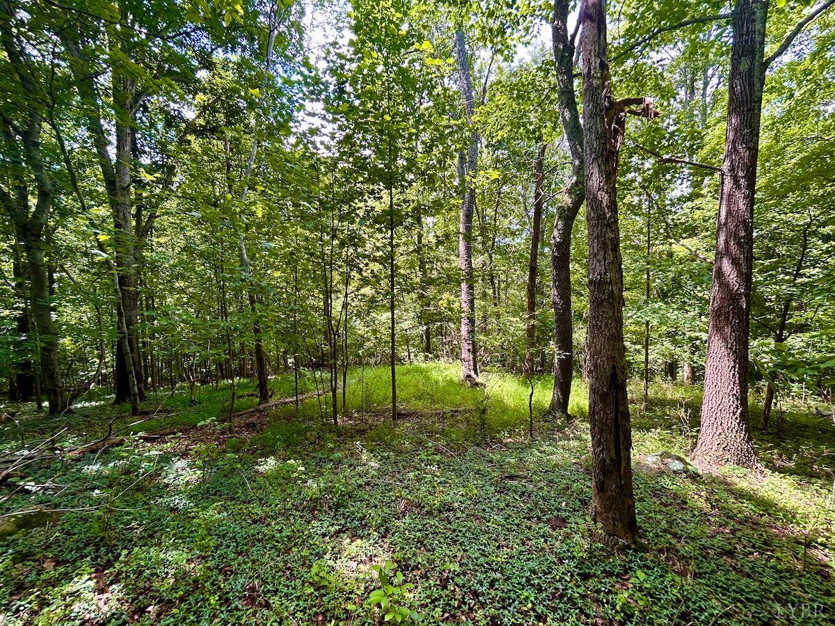0 Stewartsville Road Vinton, VA 24179 - Photo 40 of 64