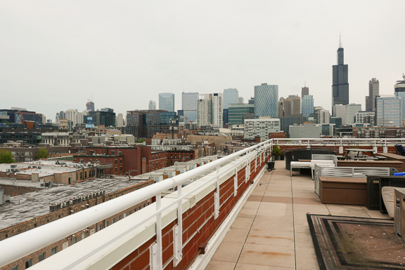 Undisclosed Address Chicago, IL 60607 - Photo 42 of 47 a view of city and a lake