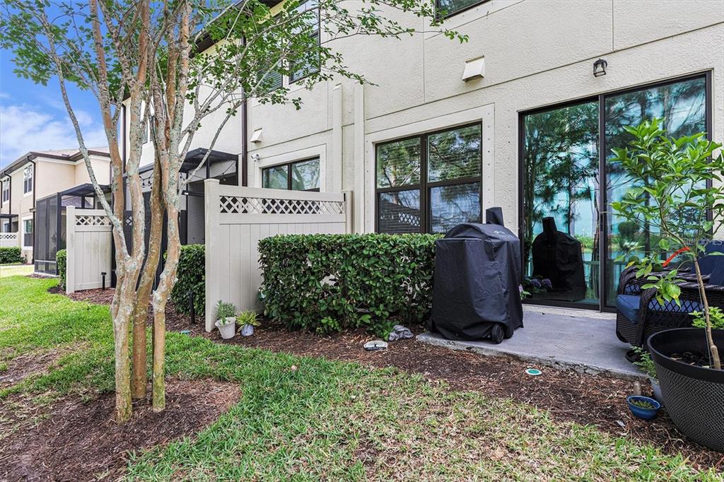 9152 Fox Sparrow Road Tampa, FL 33626 - Photo 21 of 32 a view of a potted plants next to a yard