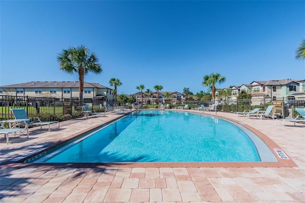 9152 Fox Sparrow Road Tampa, FL 33626 - Photo 26 of 32 a swimming pool with outdoor seating and city view