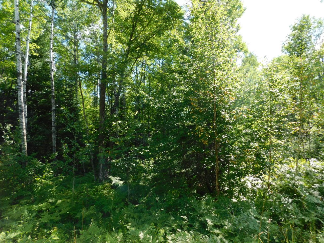 Lot 2 Sanctuary Road Tomahawk, WI 54487 - Photo 2 of 6 Gallery Image 2