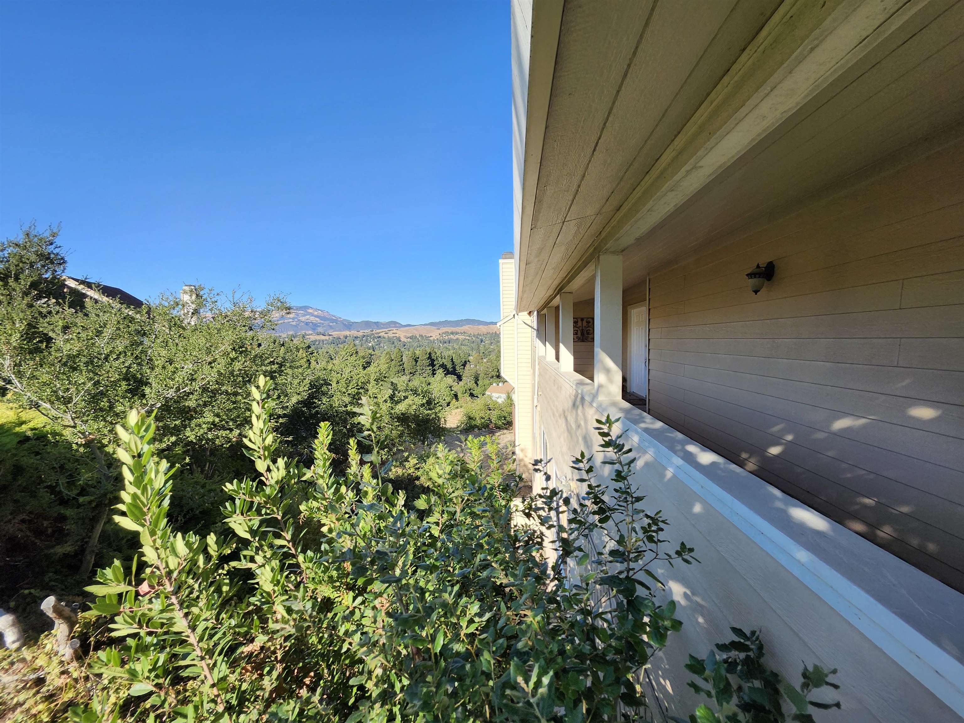 1823 Mockingbird Place Danville, CA 94526 - Photo 3 of 60 a view of a garden