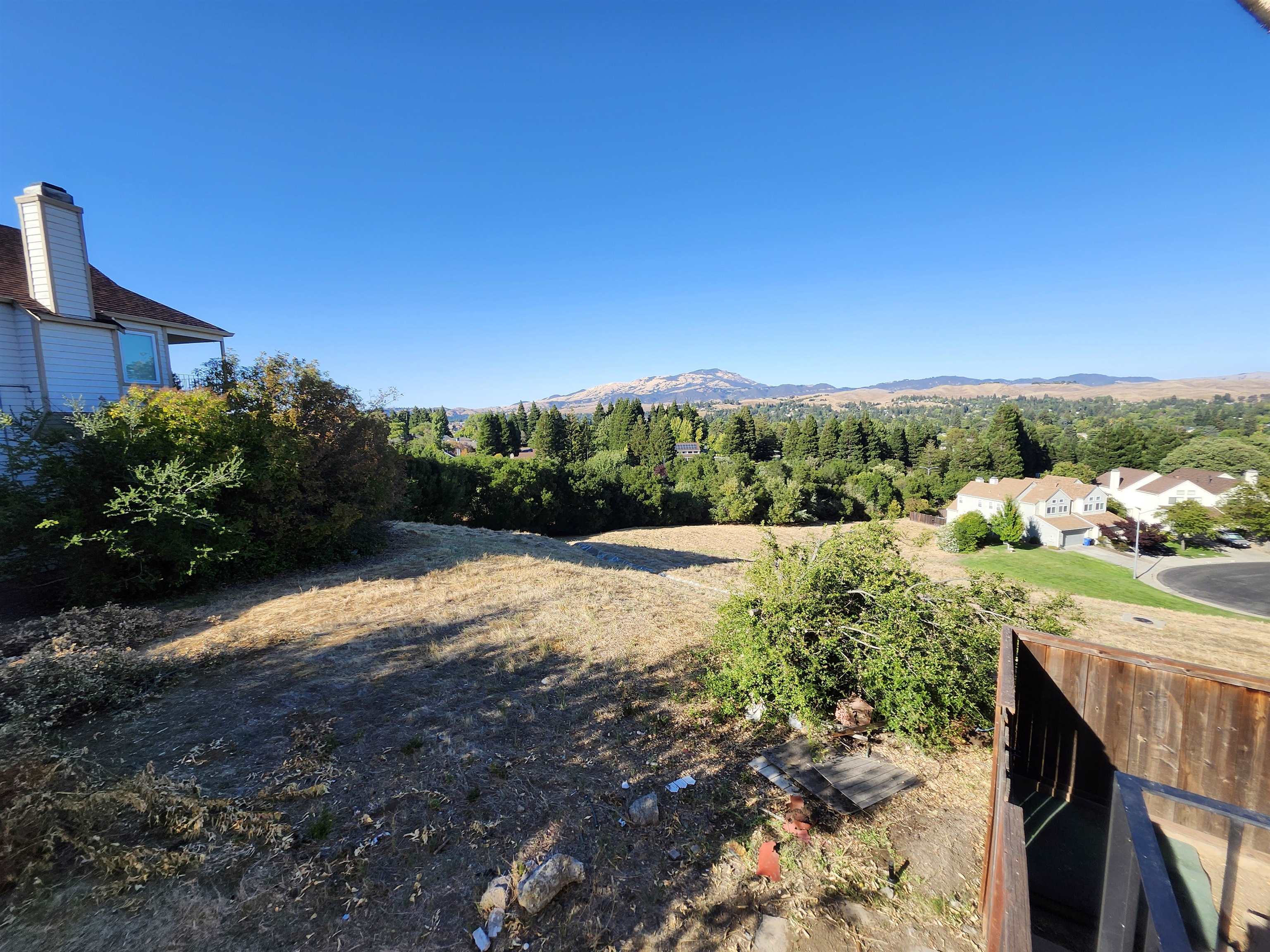 1823 Mockingbird Place Danville, CA 94526 - Photo 37 of 60 a view of a backyard with plants and lake view
