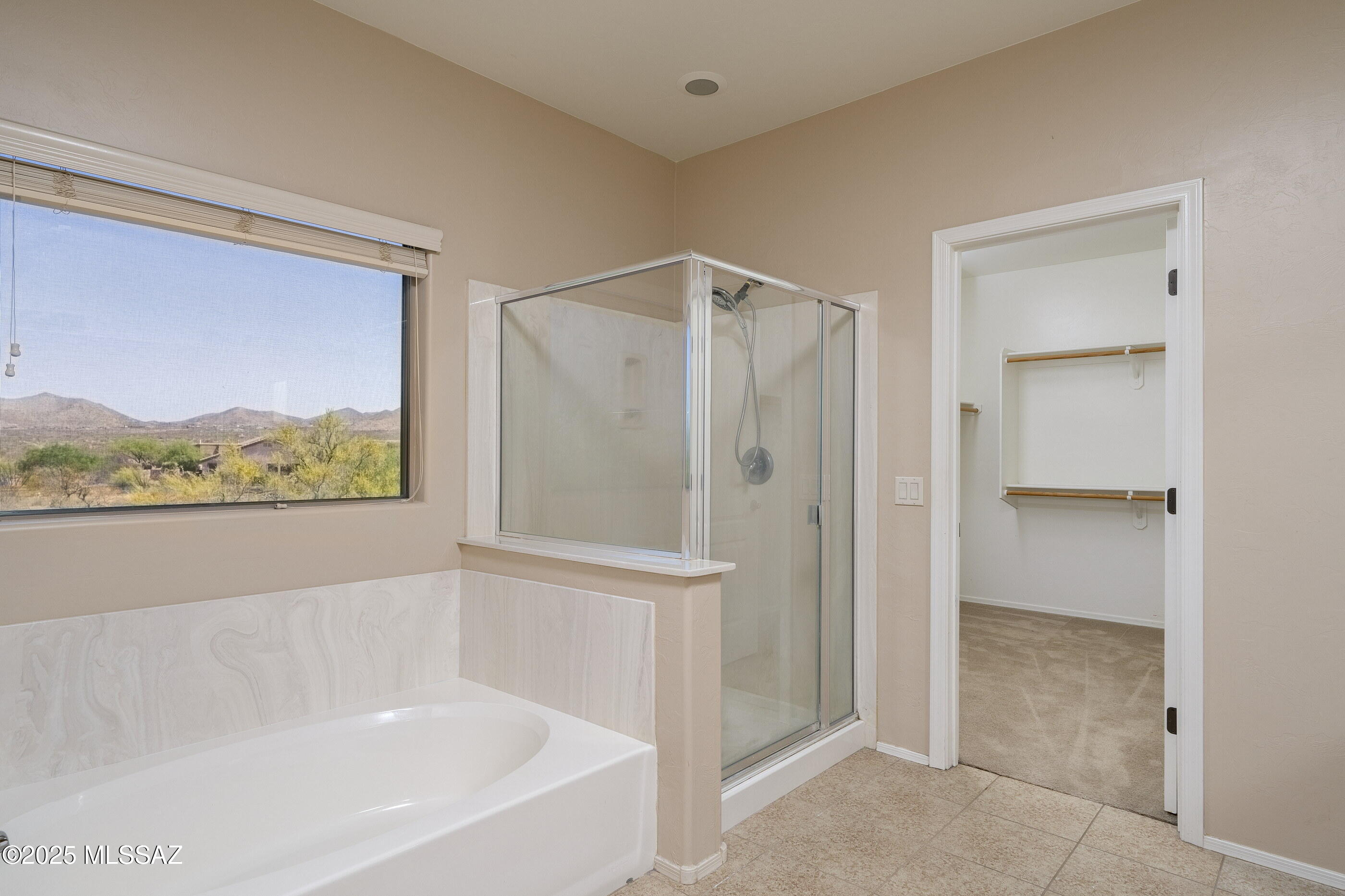 17533 South Indigo Crest Pass Vail, AZ 85641 - Photo 23 of 30