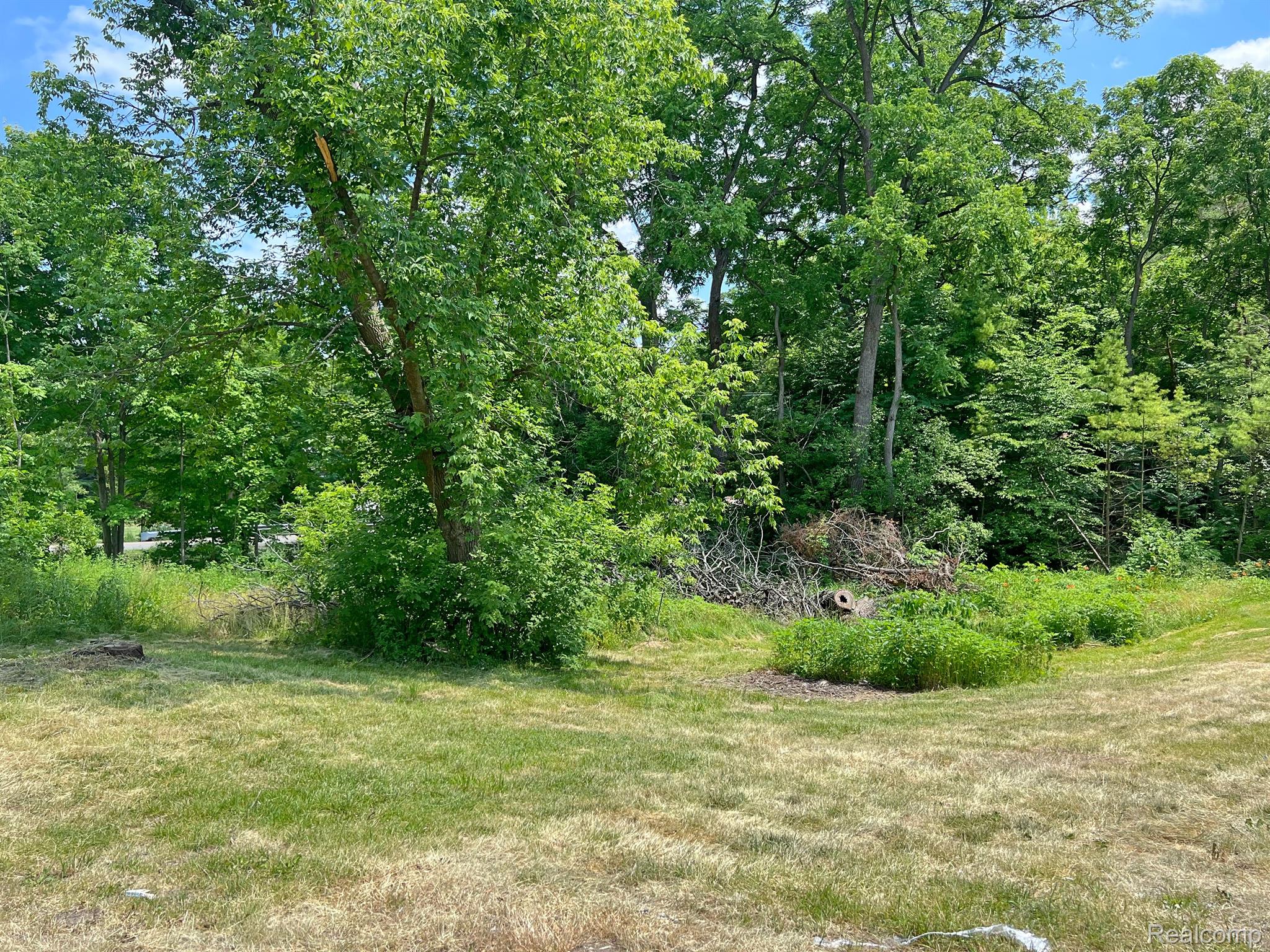 20255 Williamsville Road Gregory, MI 48137 - Photo 14 of 17 Gallery Image 14