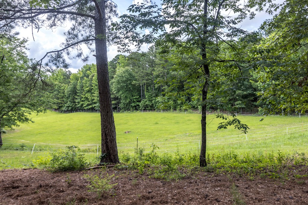 1101 Moon Road Shiloh, GA 31826 - Photo 43 of 54 Gallery Image 43