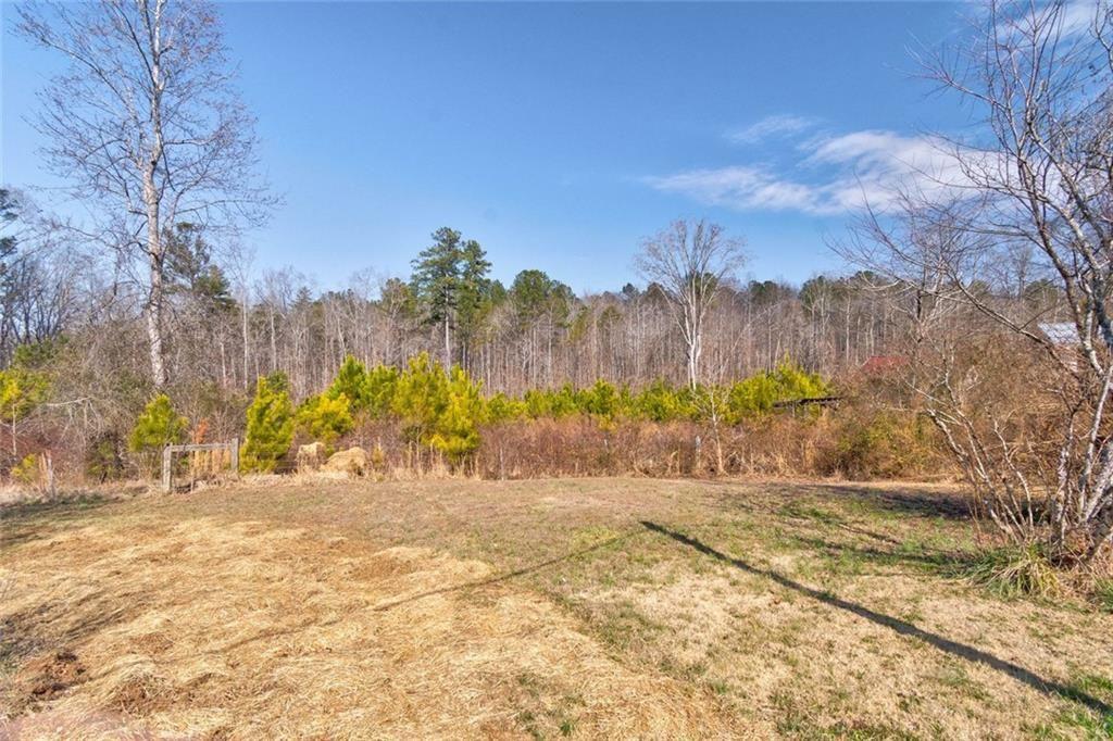 7315 Freeman Road Dawsonville, GA 30534 - Photo 12 of 28 a view of backyard with large trees