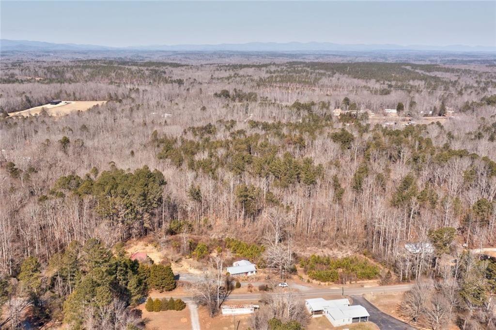 7315 Freeman Road Dawsonville, GA 30534 - Photo 3 of 28 a view of city and mountain