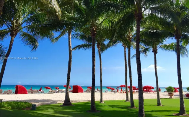 a view of ocean view with a palm tree