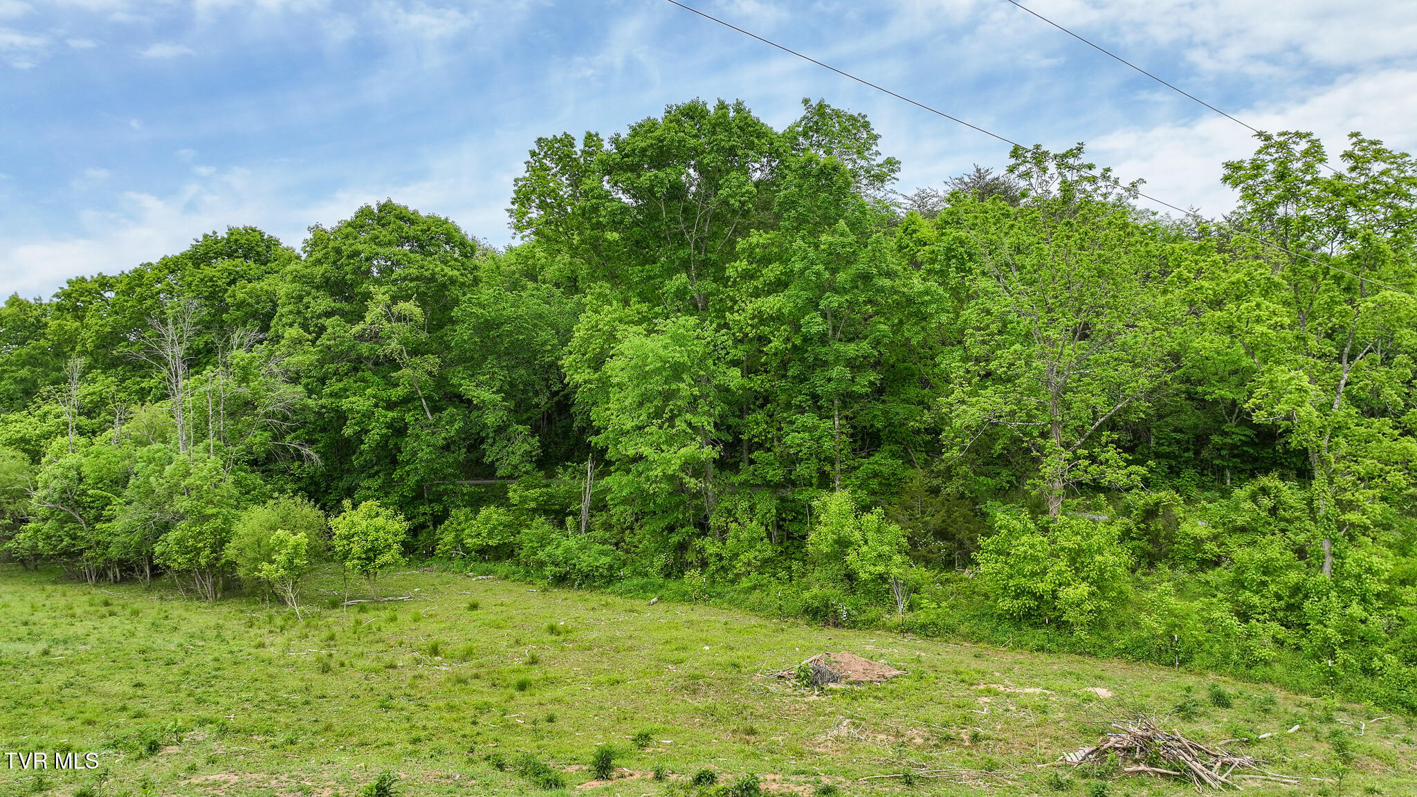 Lot 0 Hilldale Road Midway, TN 37809 - Photo 9 of 17 Land
