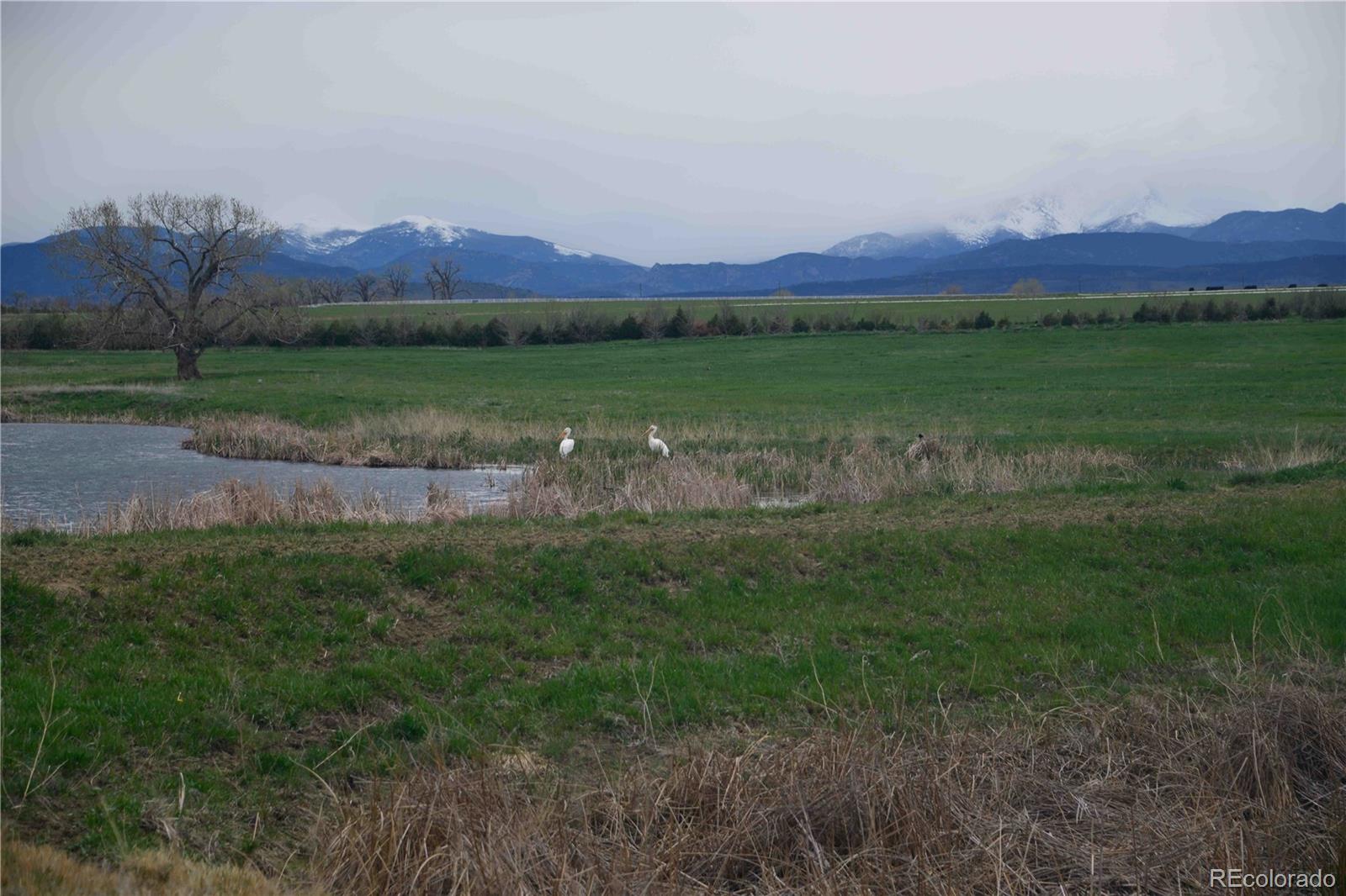 15665 East County Line Road Berthoud, CO 80513 - Photo 13 of 50 Gallery Image 13