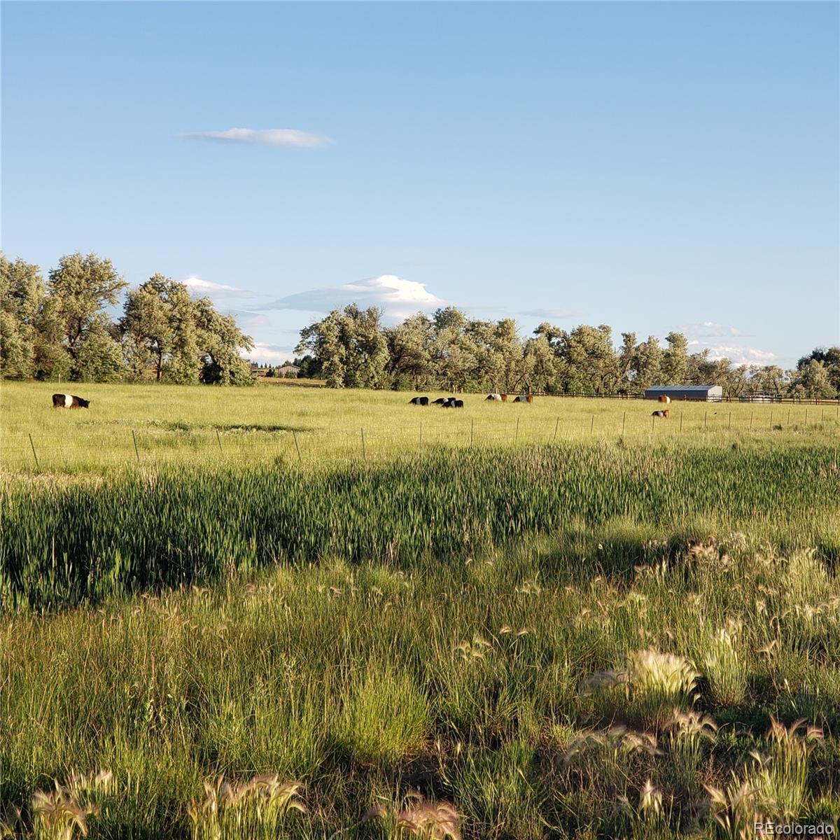 15665 East County Line Road Berthoud, CO 80513 - Photo 4 of 50 Gallery Image 4