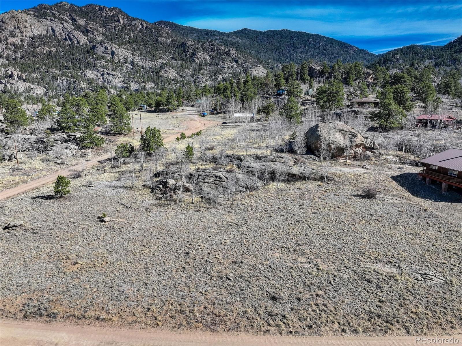 151 Tiara Road Lake George, CO 80827 - Photo 5 of 13 a view of a dry yard with green space