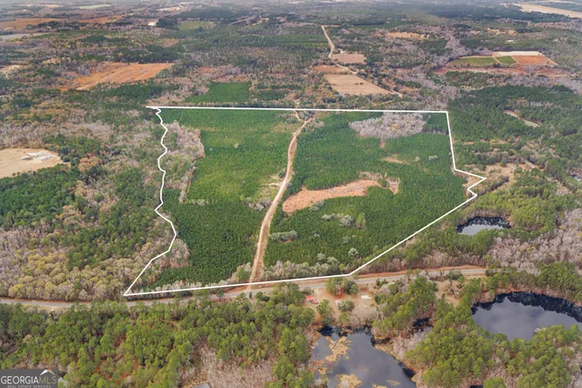 $990,000 | 0 Jacob Wilkinson Circle, Claxton, GA 30417