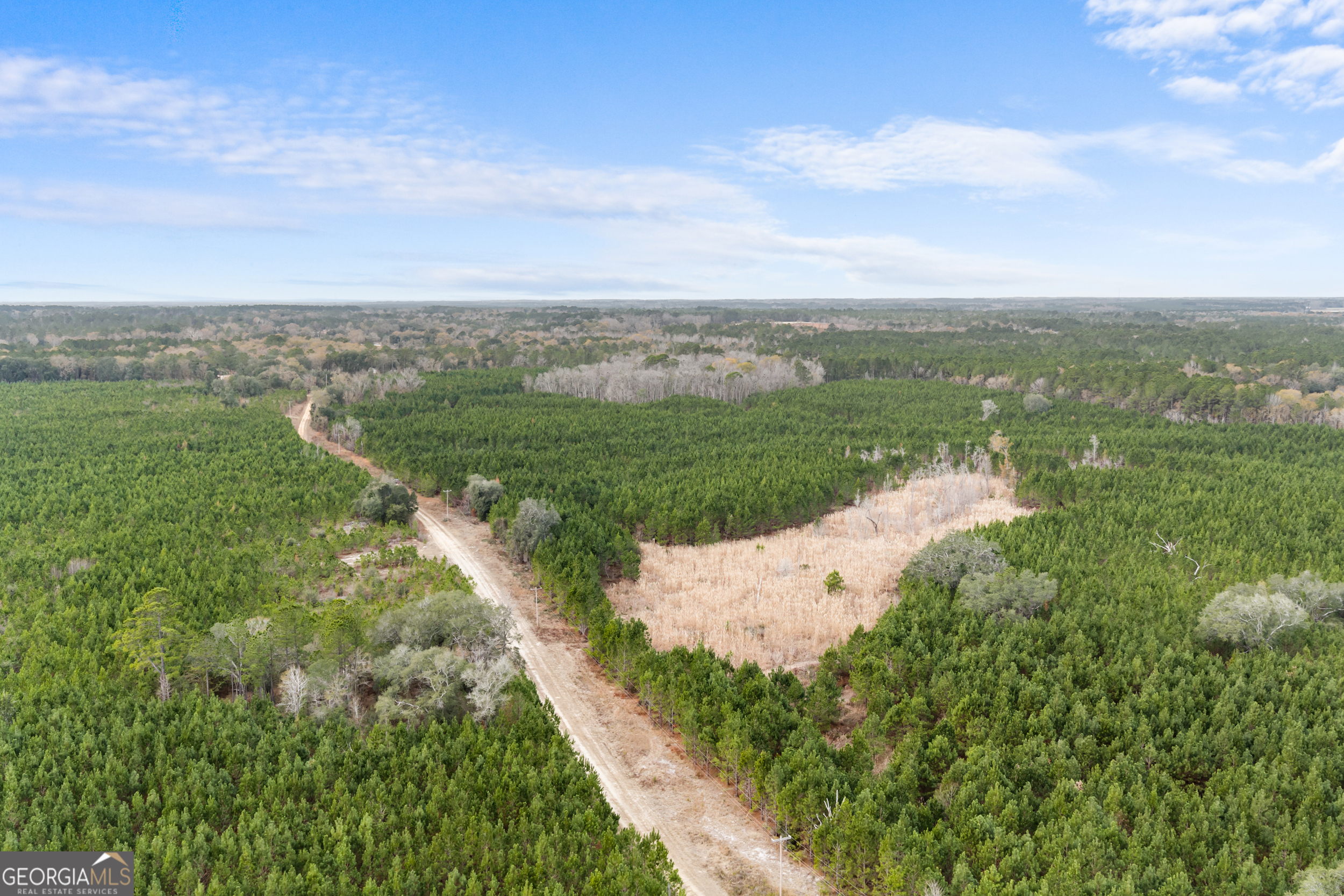 0 Jacob Wilkinson Circle Claxton, GA 30417 - Photo 11 of 13 a view of a street with a yard