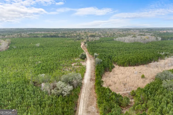 $899,000 | 0 Jacob Wilkinson Circle, Claxton, GA 30417