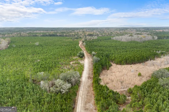 a view of a field with an ocean