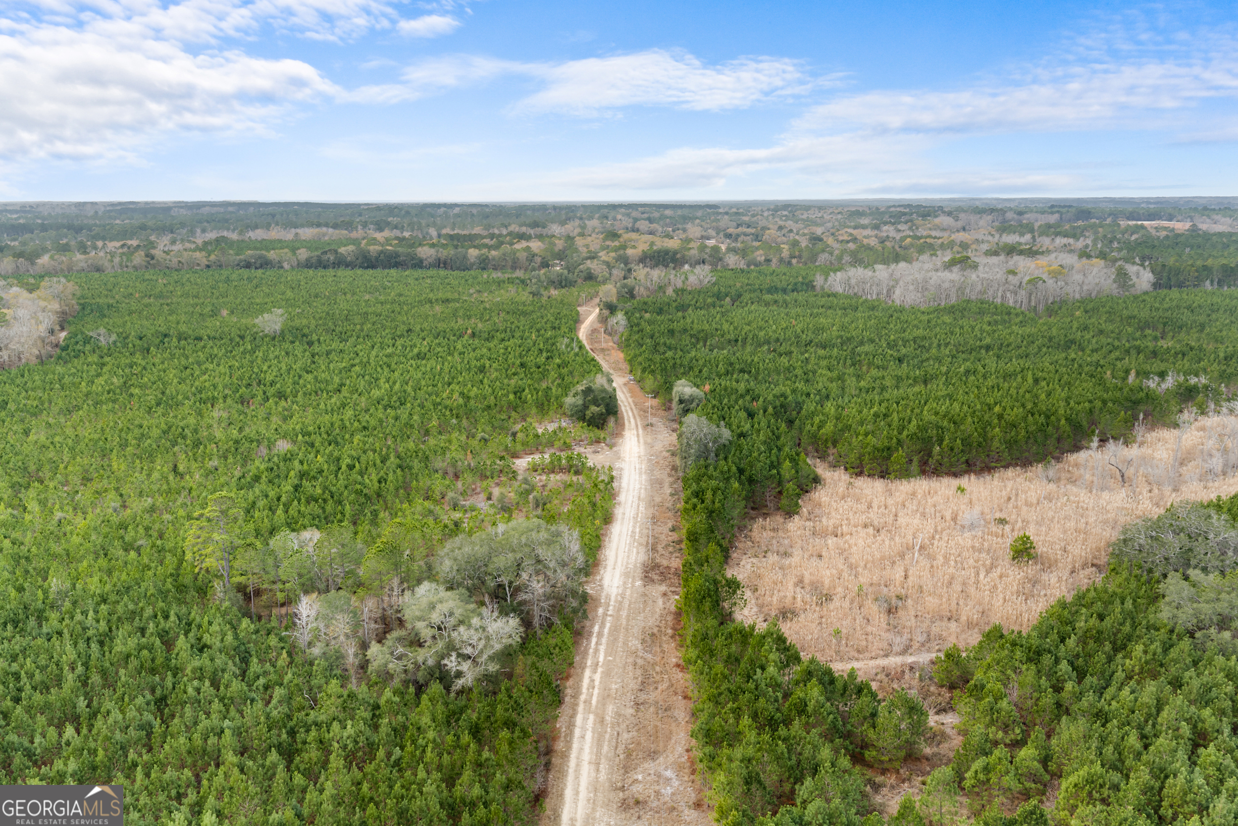 0 Jacob Wilkinson Circle Claxton, GA 30417 - Photo 12 of 13 a view of a field with an ocean