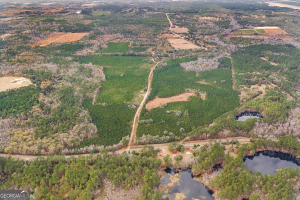 $899,000 | 0 Jacob Wilkinson Circle, Claxton, GA 30417